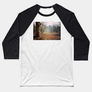 Winter landscape Baseball T-Shirt